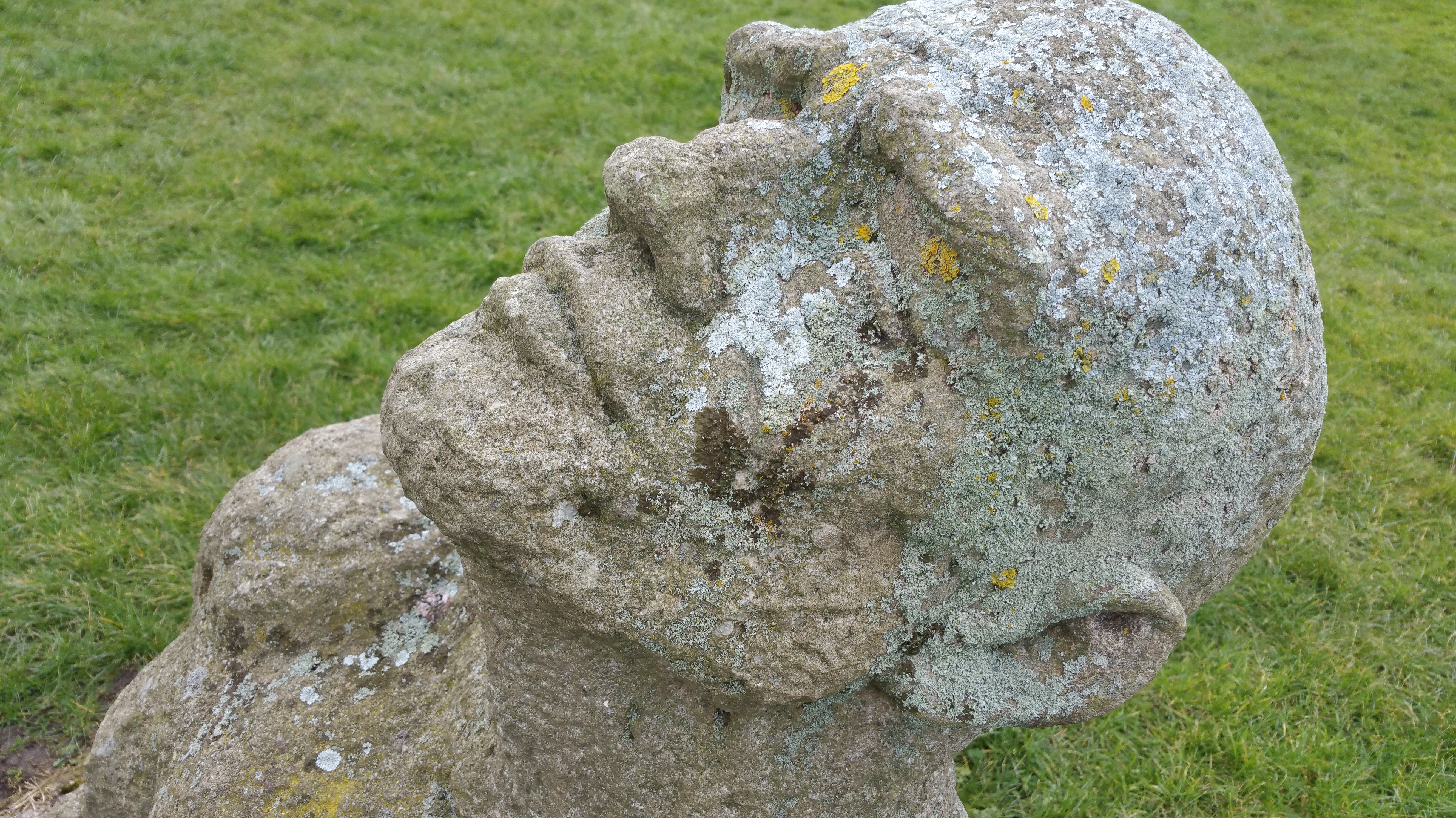 2016-03-10 15.41.03.jpg